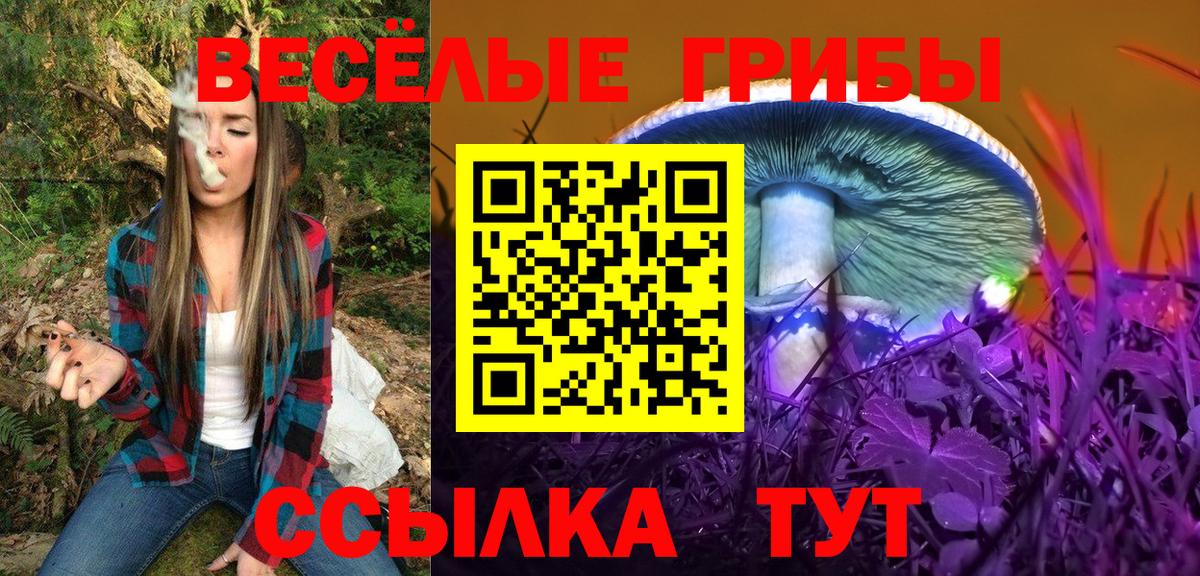 Галлюциногенные грибы ЛСД Волжский